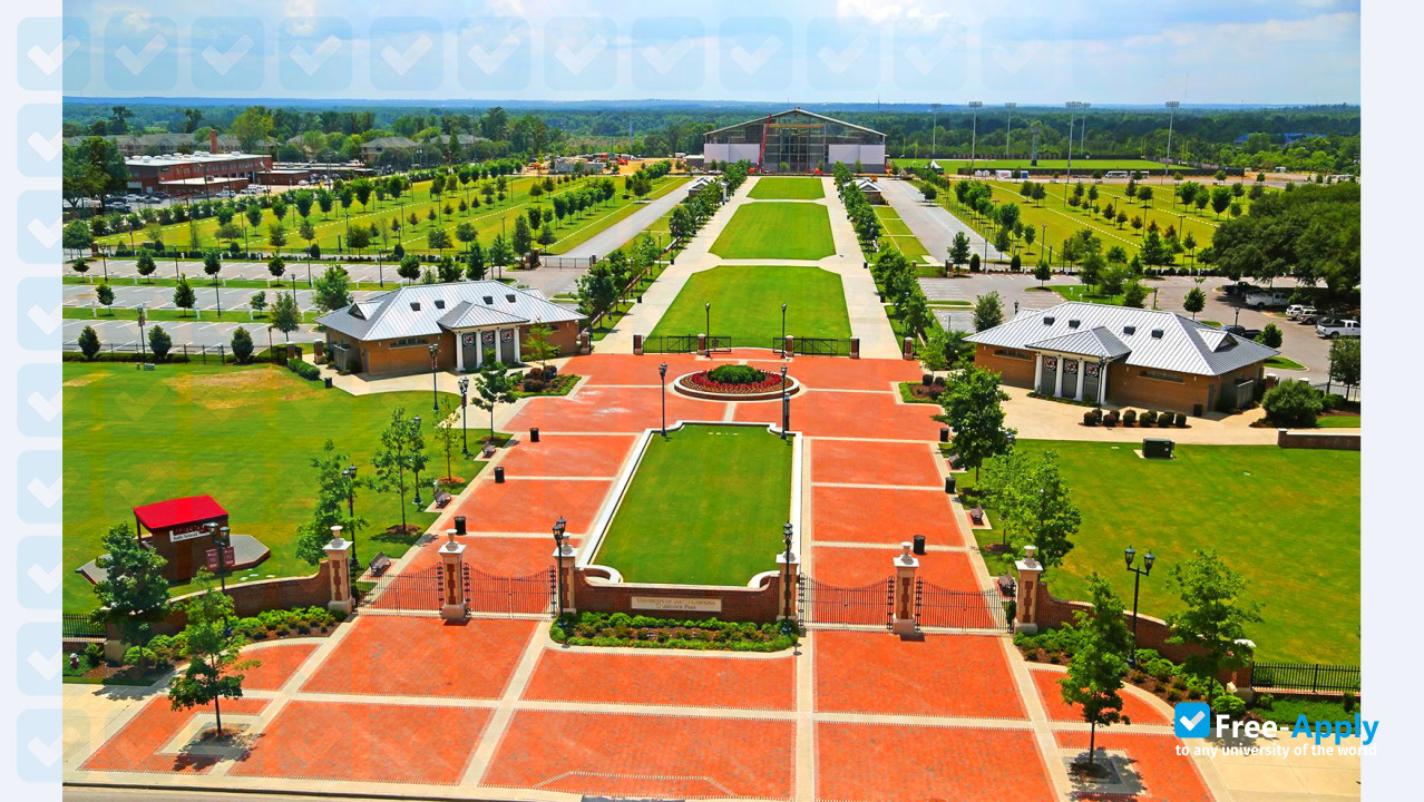 Foto de la University of South Carolina #9