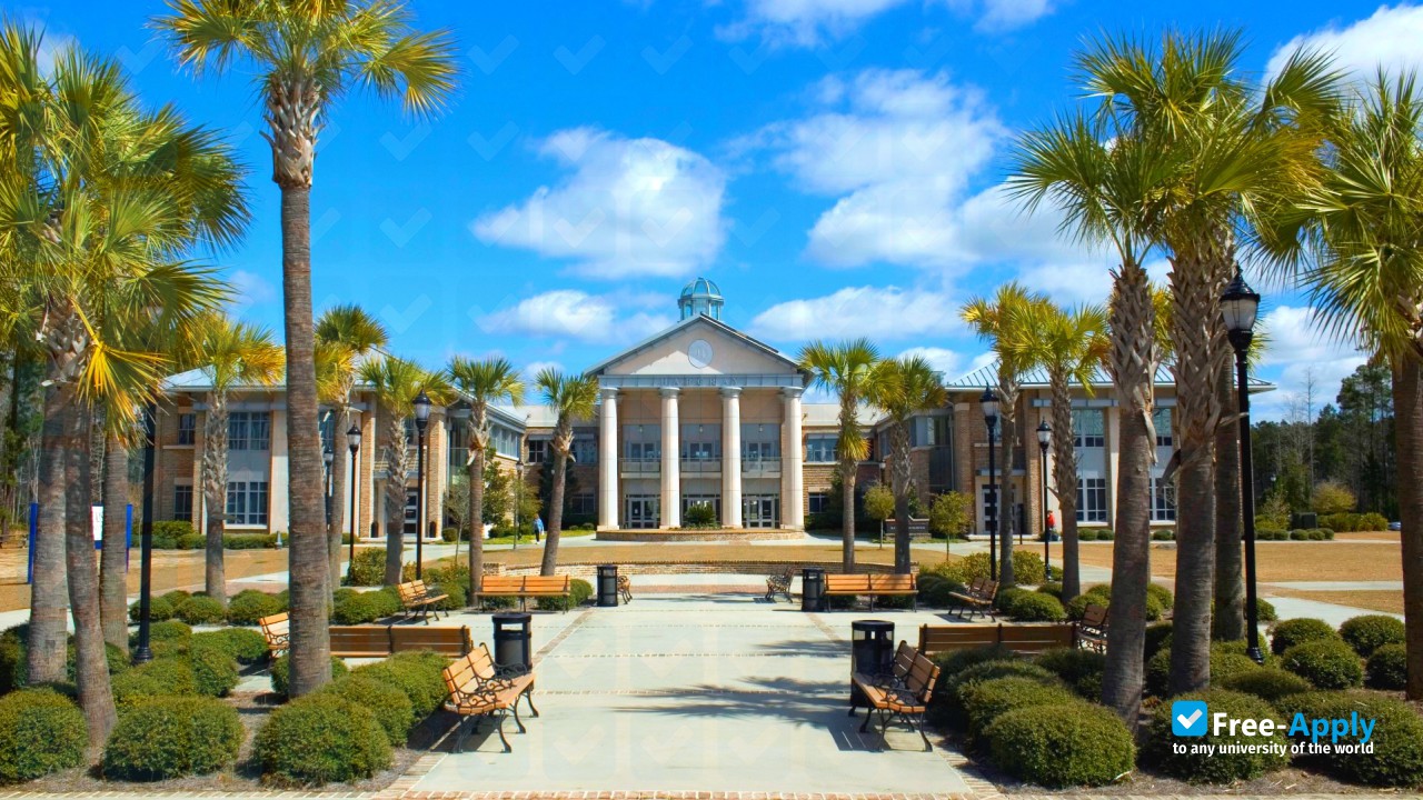 Foto de la University of South Carolina #10