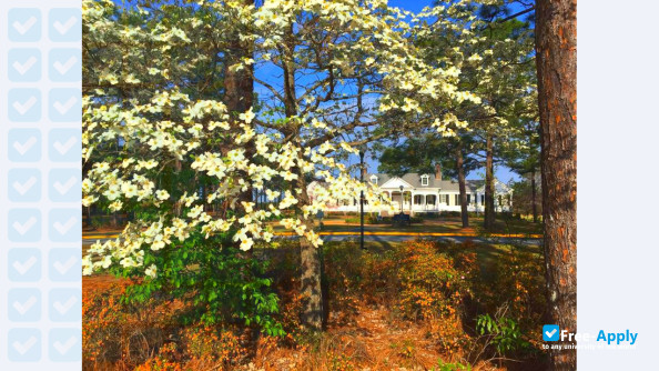 University of South Carolina Aiken photo #21