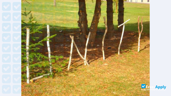 Photo de l’Unity College #9