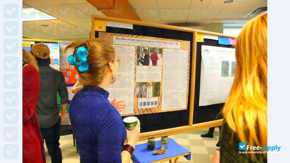 Photo de l’Unity College #31