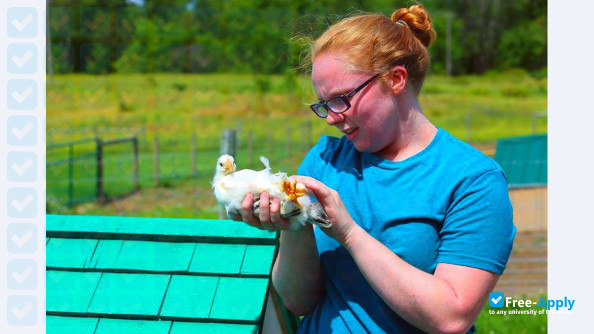 Photo de l’Unity College #26