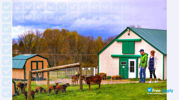 Photo de l’Unity College #12