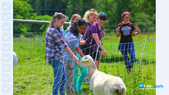 Photo de l’Unity College #13