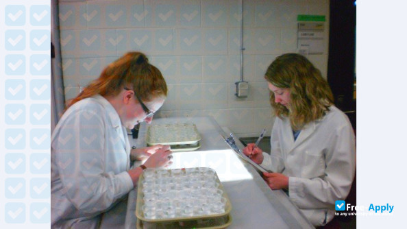 Photo de l’University of Wisconsin-Superior #2