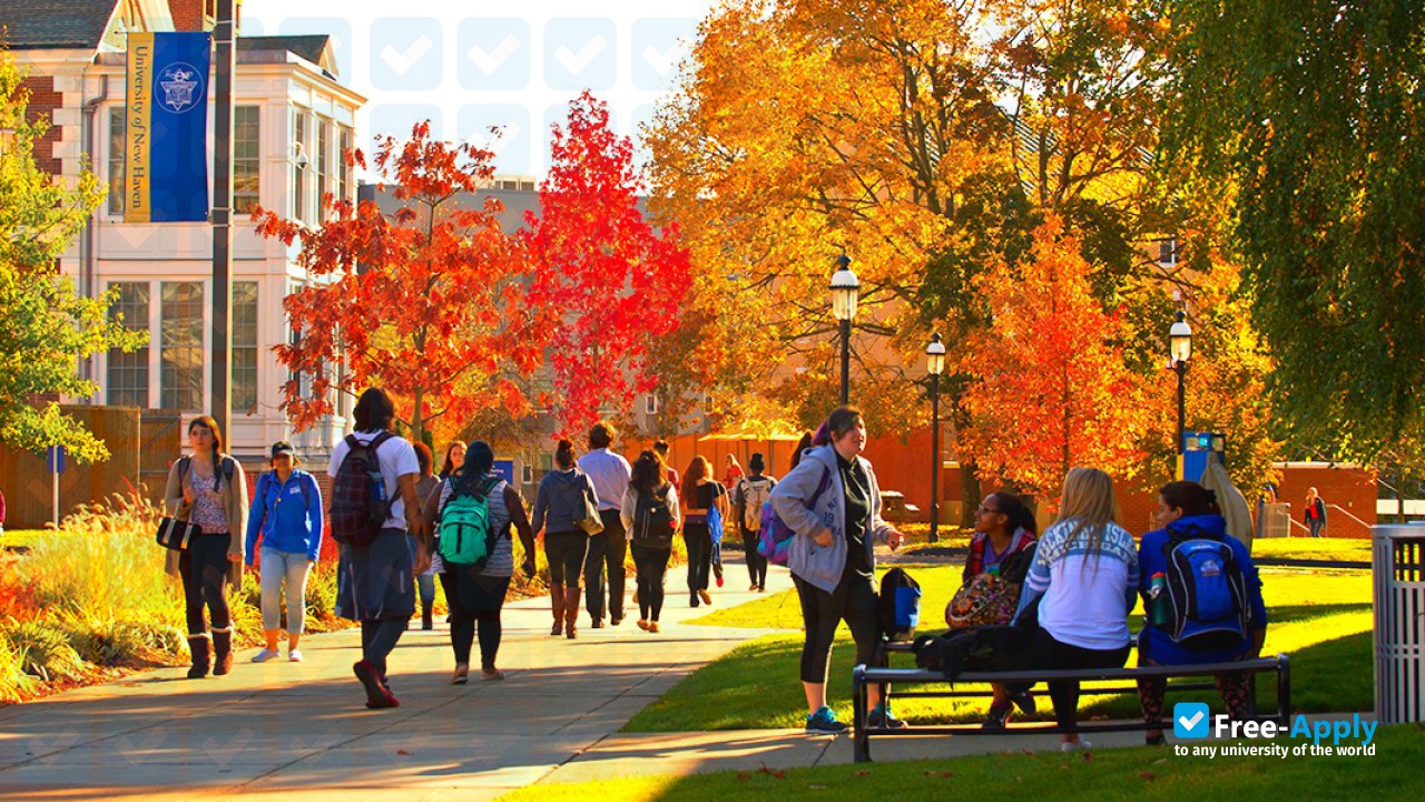 University of New Haven photo #5