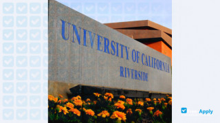 University of California, Riverside vignette #8