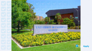 University of California, Riverside vignette #3