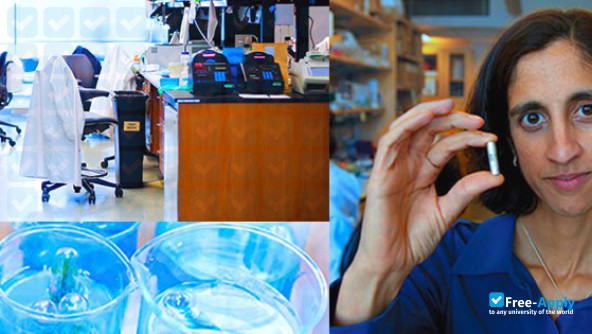 University of California, San Francisco photo #10