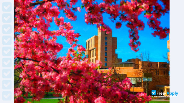 Photo de l’University at Buffalo #15