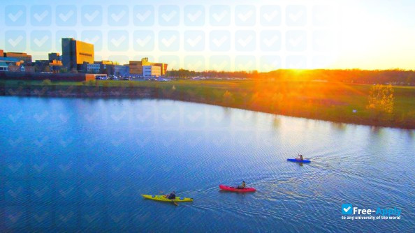 Photo de l’University at Buffalo #6