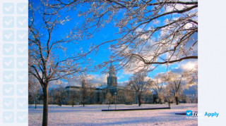 University at Buffalo thumbnail #12