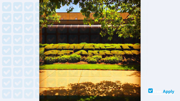 University of Akron photo #16