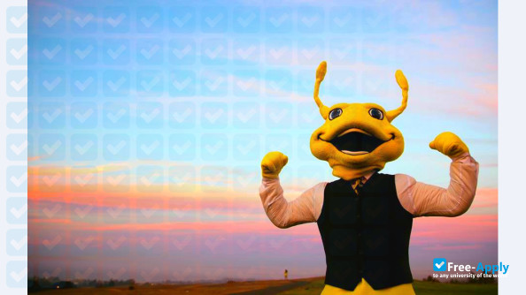 University of California, Santa Cruz photo #8