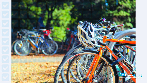 University of California, Santa Cruz photo #14