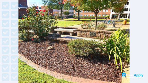 University of Central Arkansas photo #10