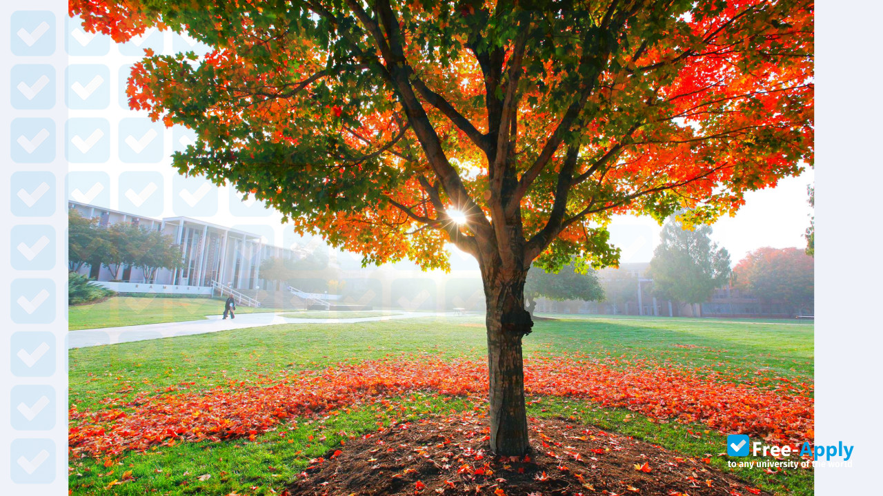 Photo de l’University of North Carolina Asheville #3