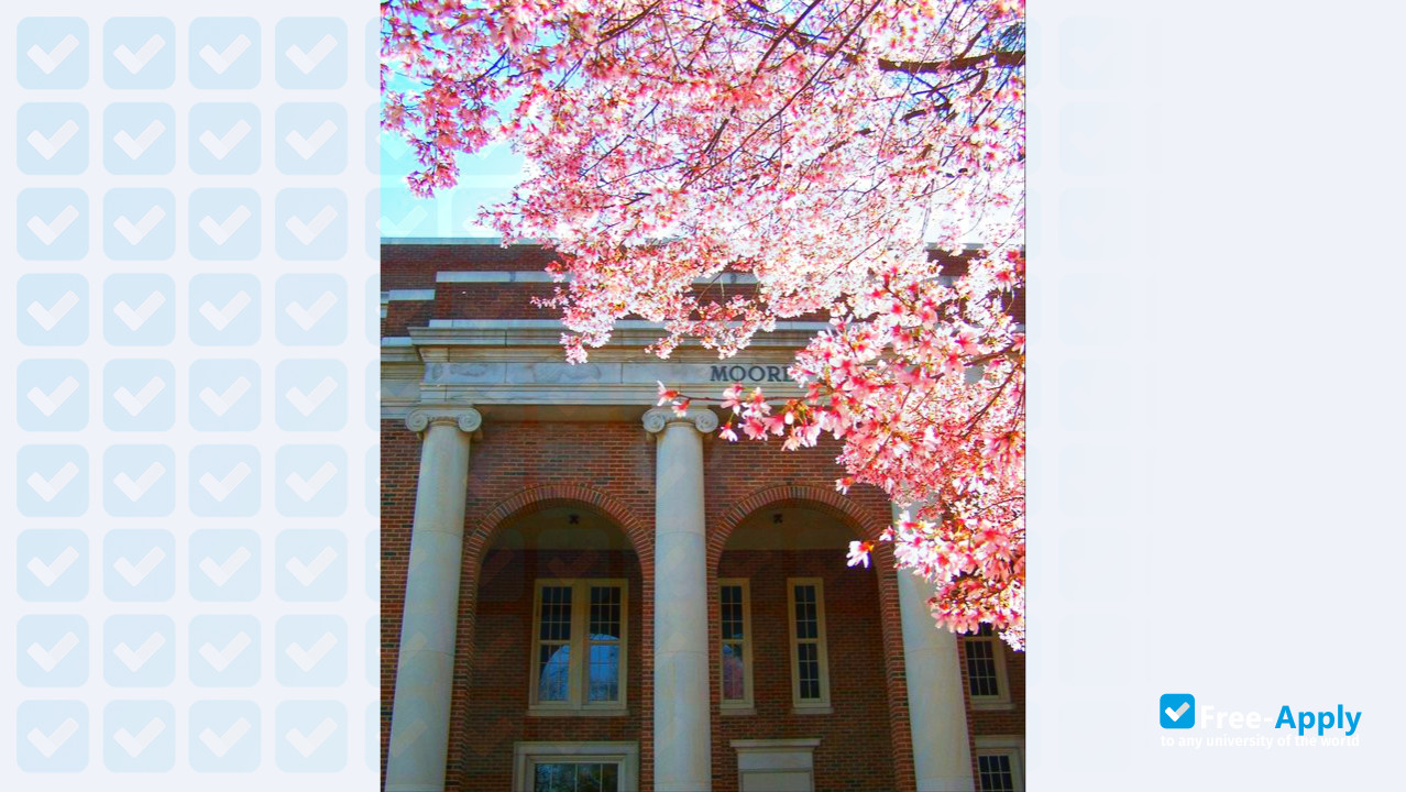 Photo de l’University of Alabama #2