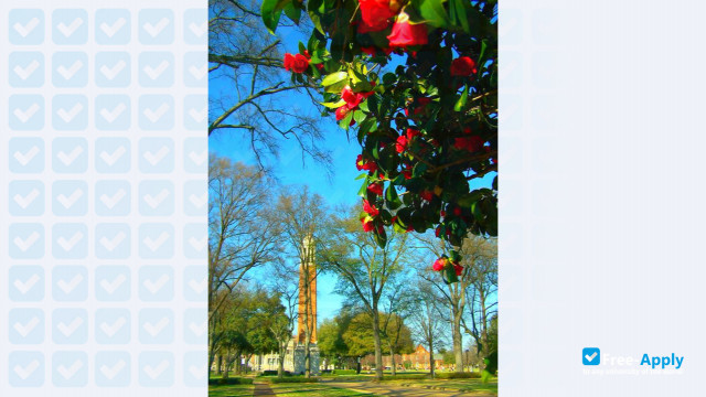 University of Alabama photo #14