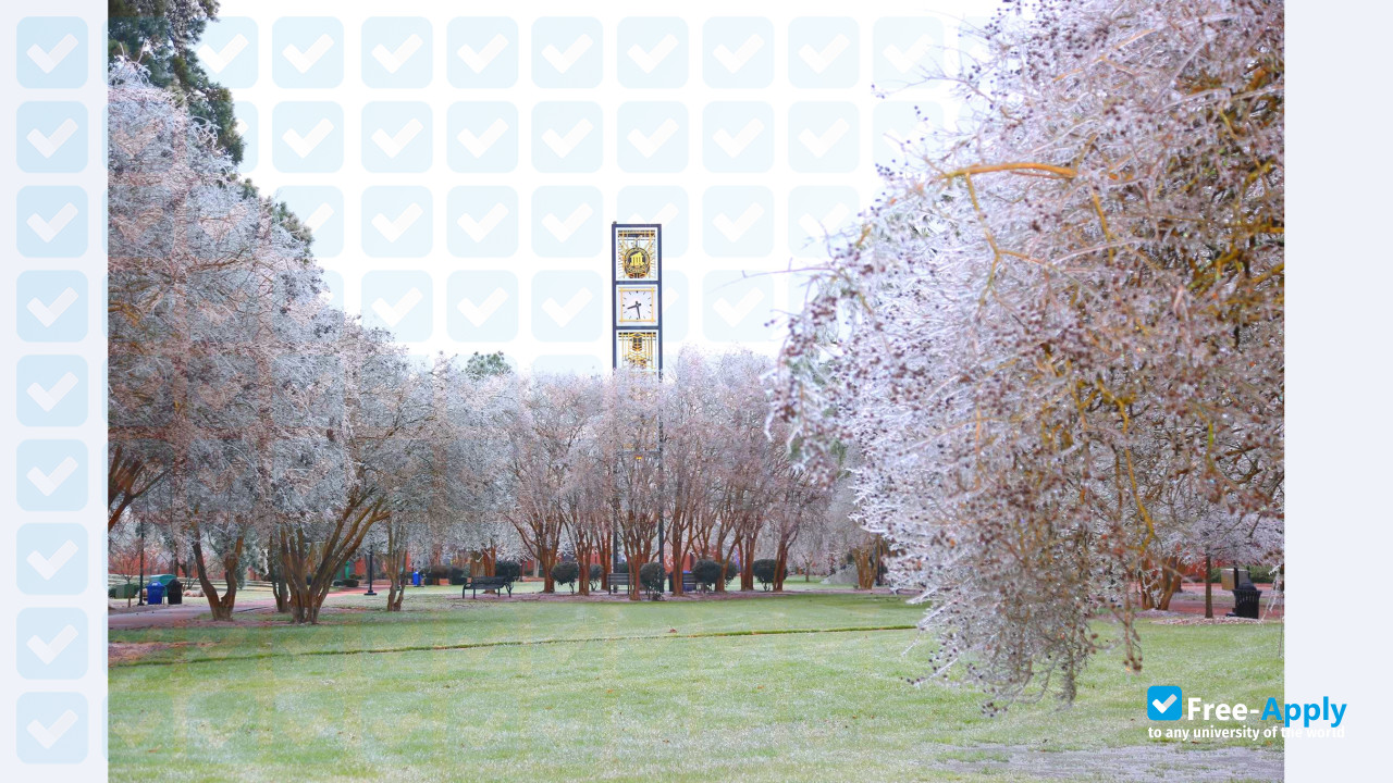 Photo de l’University of North Carolina at Pembroke #5
