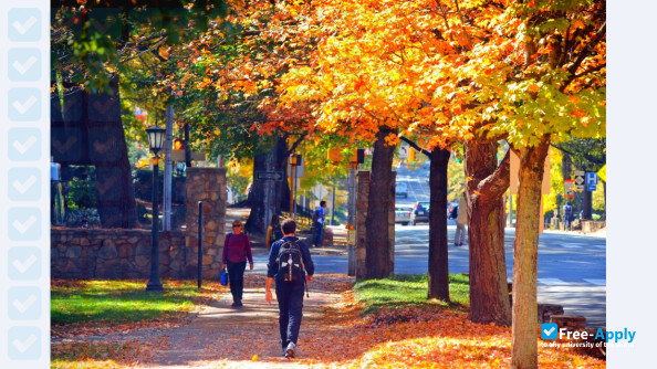 University of North Carolina Chapel Hill фотография №9