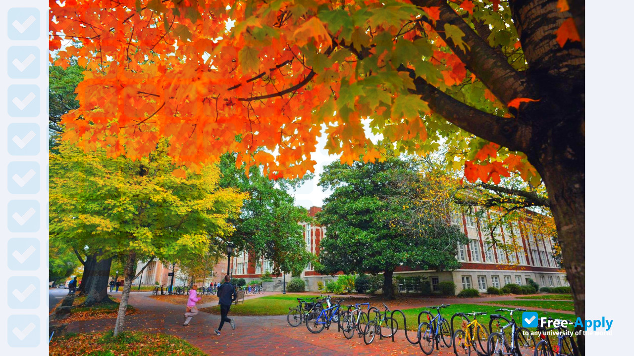 University of North Carolina Chapel Hill фотография №3