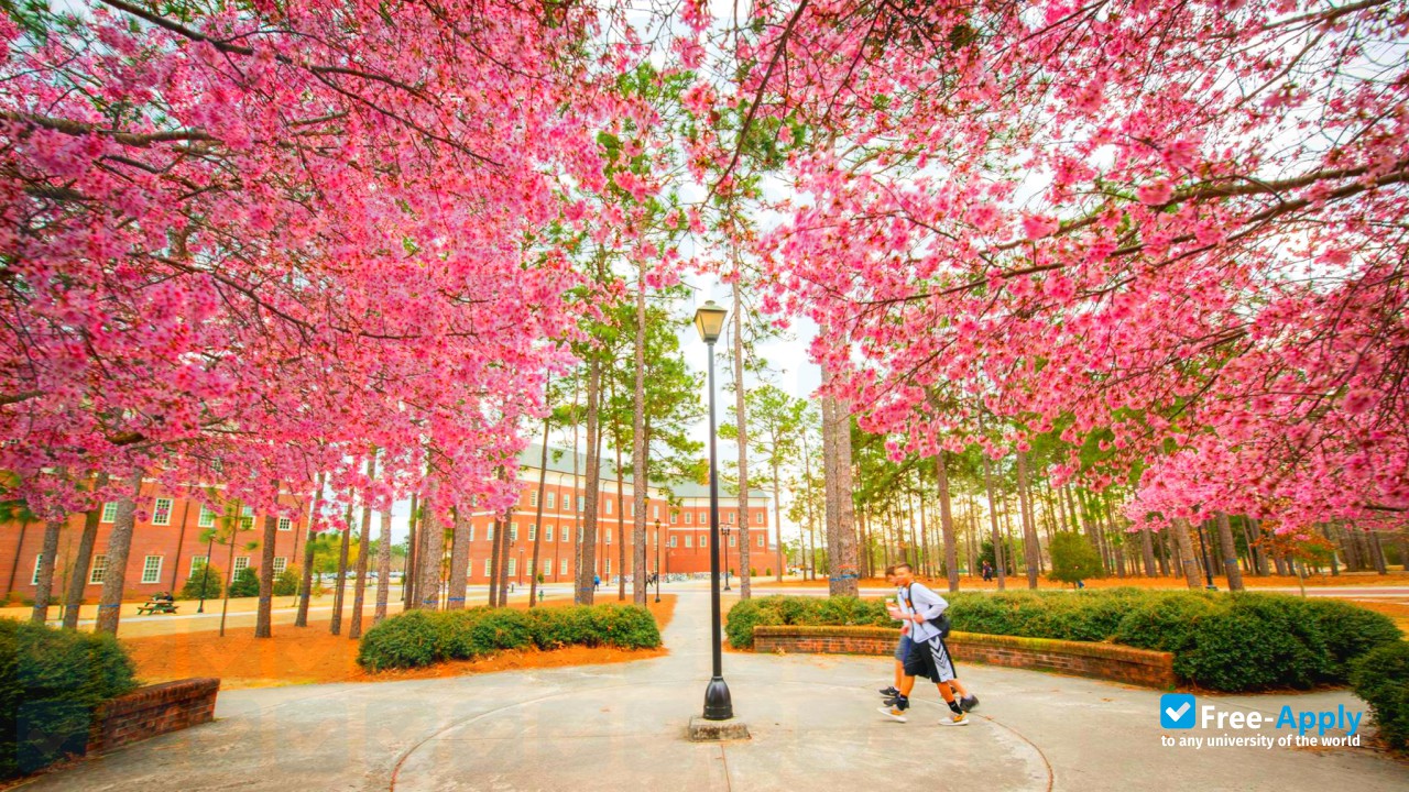 Photo de l’University of North Carolina Wilmington #10