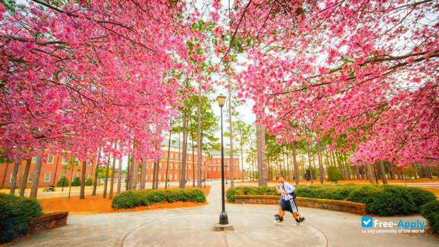 University of North Carolina Wilmington фотография №7