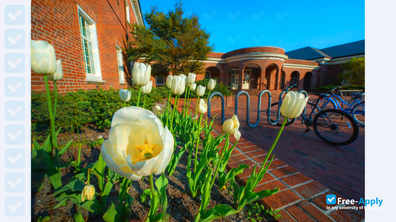 Photo de l’University of North Carolina Wilmington #11