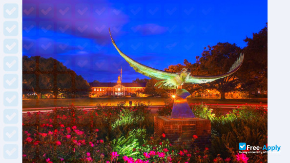 Photo de l’University of North Carolina Wilmington #8