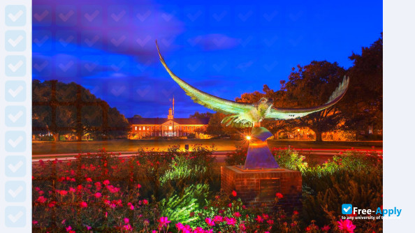 University of North Carolina Wilmington фотография №9