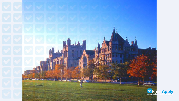 University of Chicago photo #11