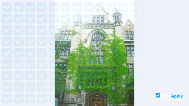 Photo de l’University of Chicago #8