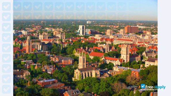 University of Chicago photo #6