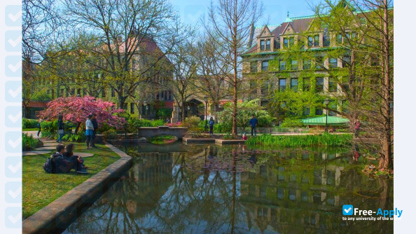 University of Chicago photo #7