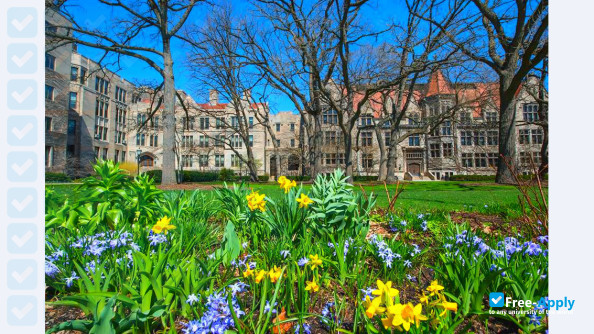 University of Chicago photo #15