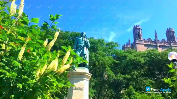 University of Chicago photo #13