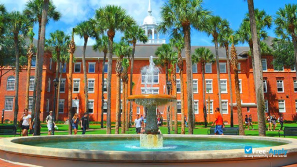 Foto de la University of South Florida #8