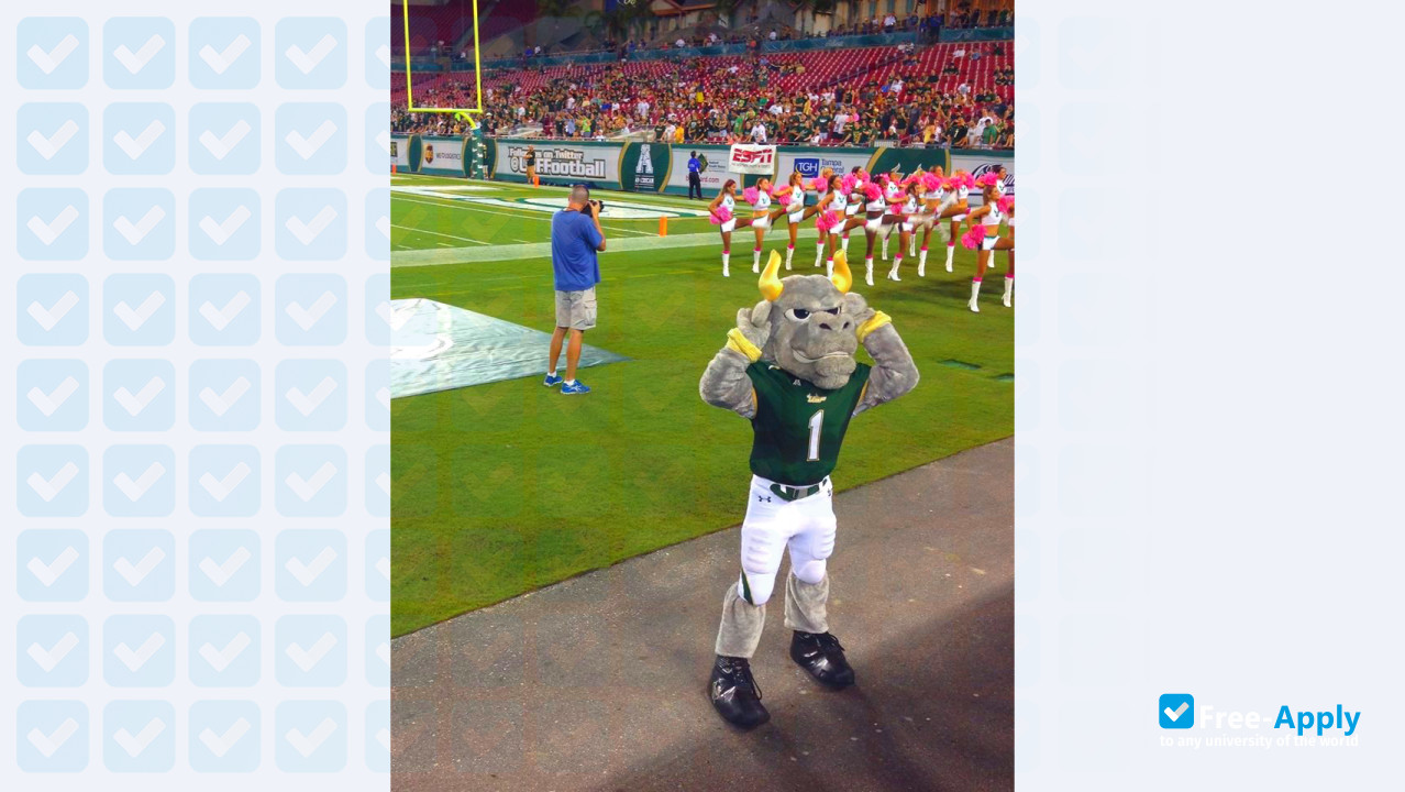 Photo de l’University of South Florida