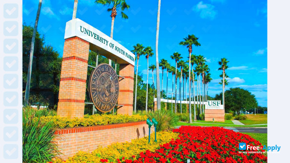 University of South Florida фотография №12