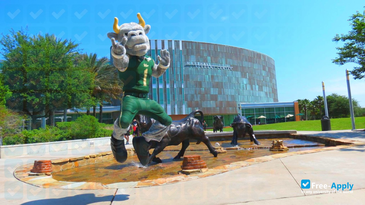 Foto de la University of South Florida #13
