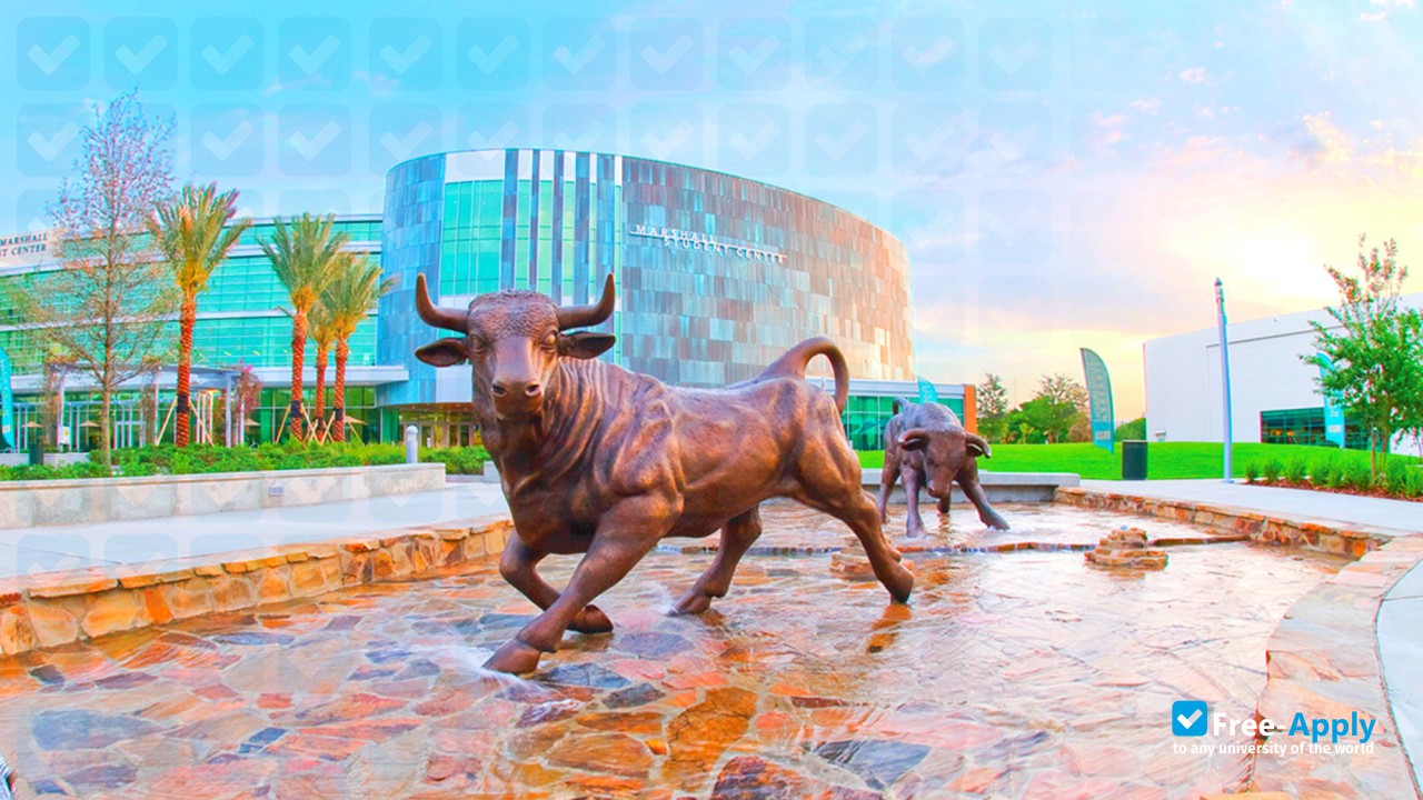 Foto de la University of South Florida #2