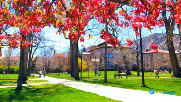 University of Colorado Boulder photo #10