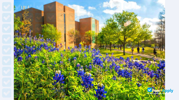 Photo de l’University of North Texas #2