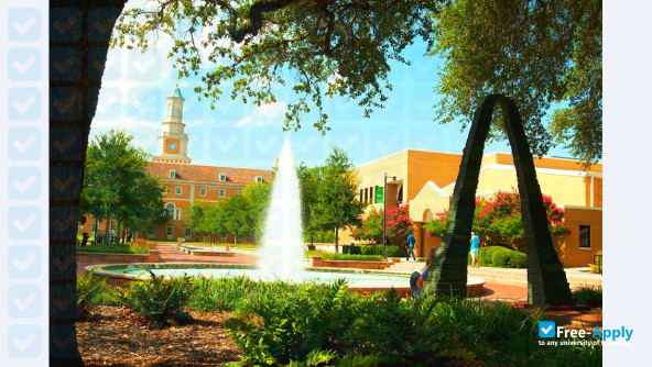 University of North Texas photo #7