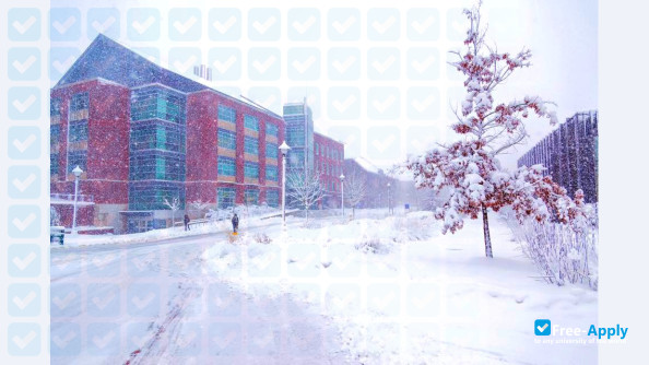 University of Connecticut photo #7