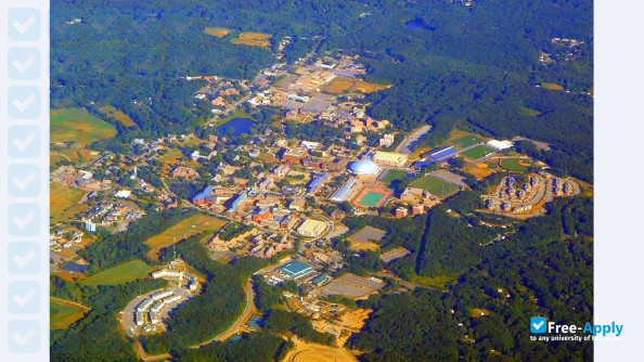 University of Connecticut photo #9