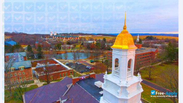 Фотография University of Connecticut