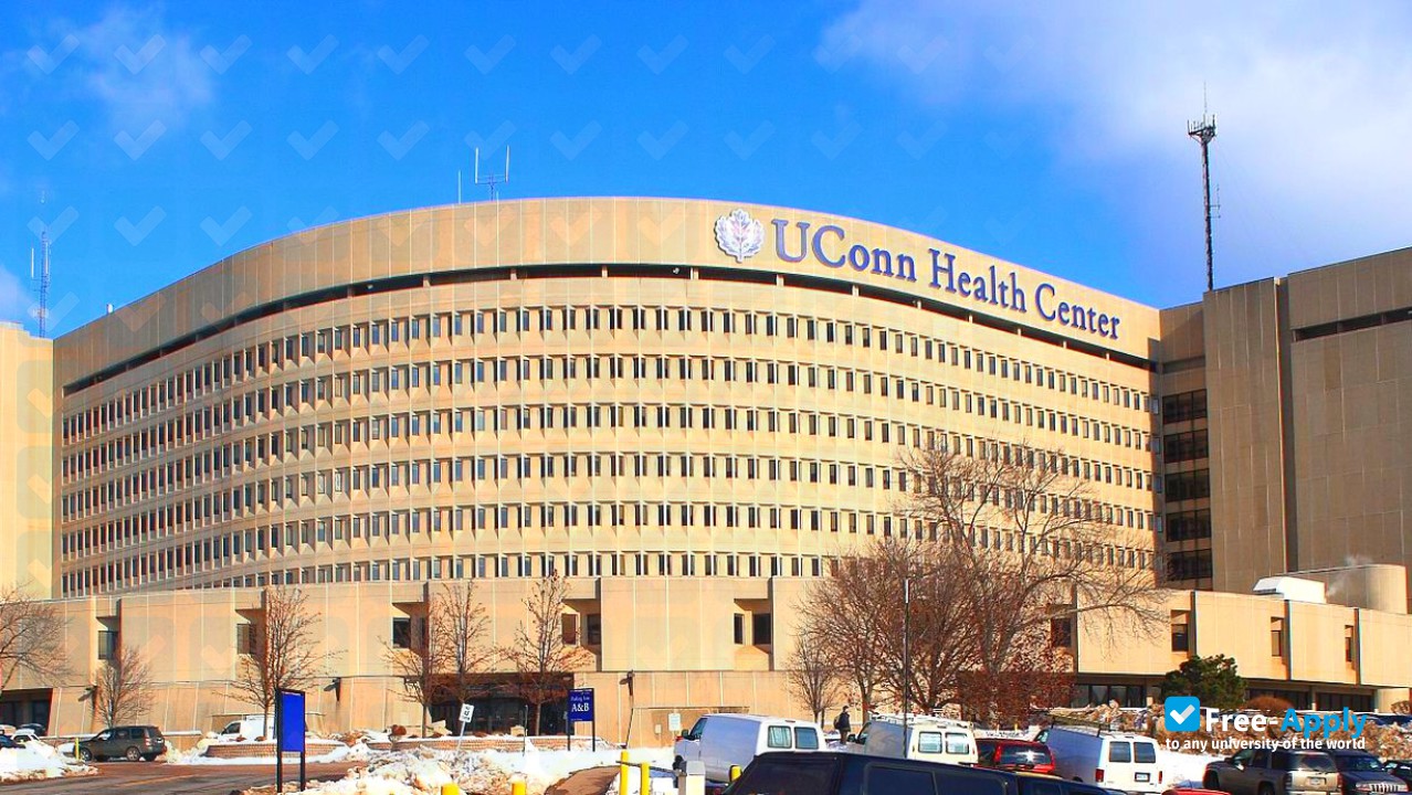 University of Connecticut photo #13