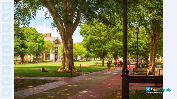 University of Delaware photo #14